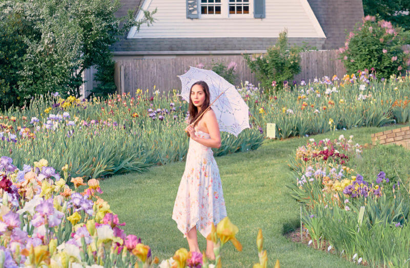 She's So Bright - A Walk Through the Iris Gardens