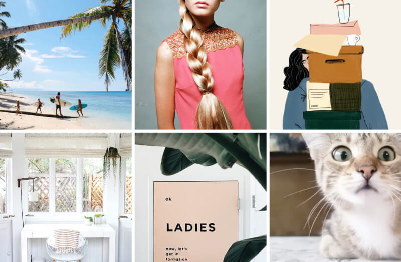 She's So Bright - 6 Links to Brighten Your Week End of July 2017
