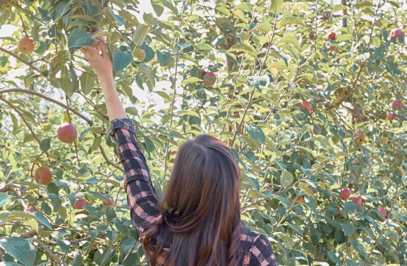 She's So Bright - Fall is Just Within Reach