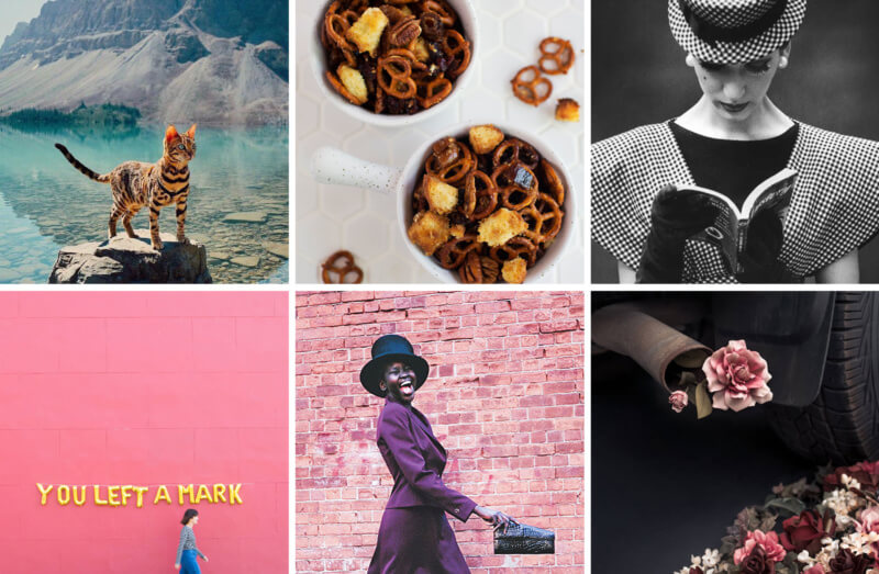 She's So Bright - 6 Links to Brighten Your Week November 2017