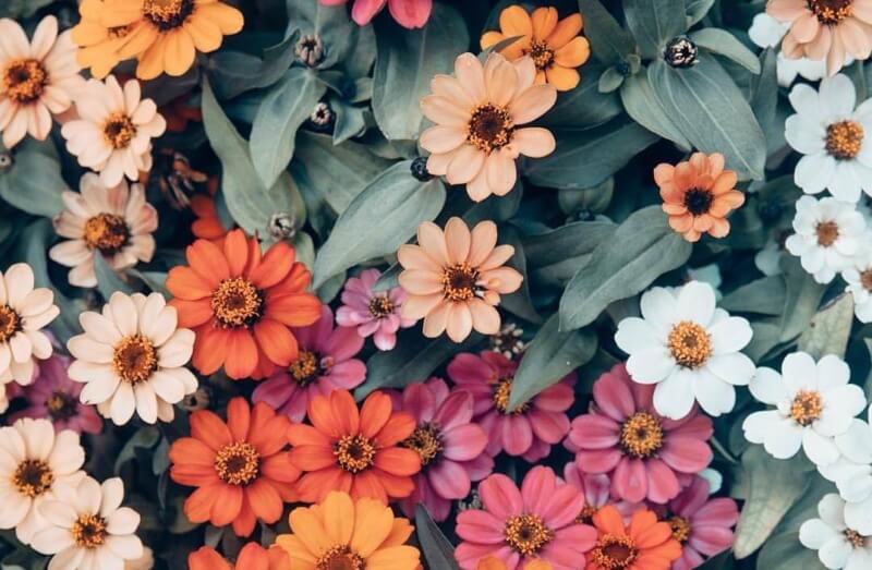 She's So Bright - Have A Great Weekend