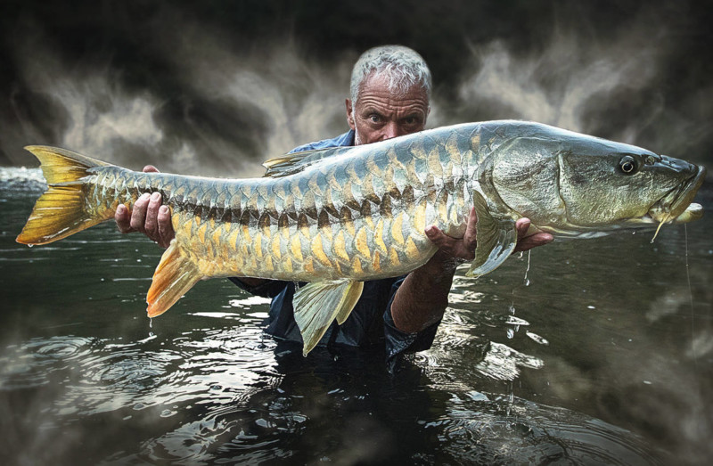 She's So Bright - You Need to Start Watching Jeremy Wade - If You Aren’t Already