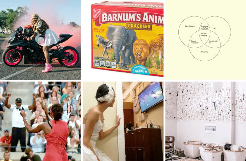 She's So Bright - 6 Links to Brighten Your Week, collection, fun, links